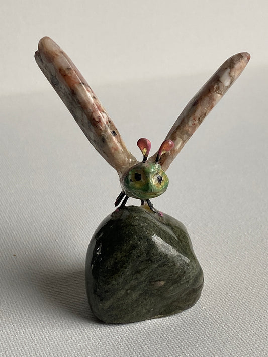 Stone fly