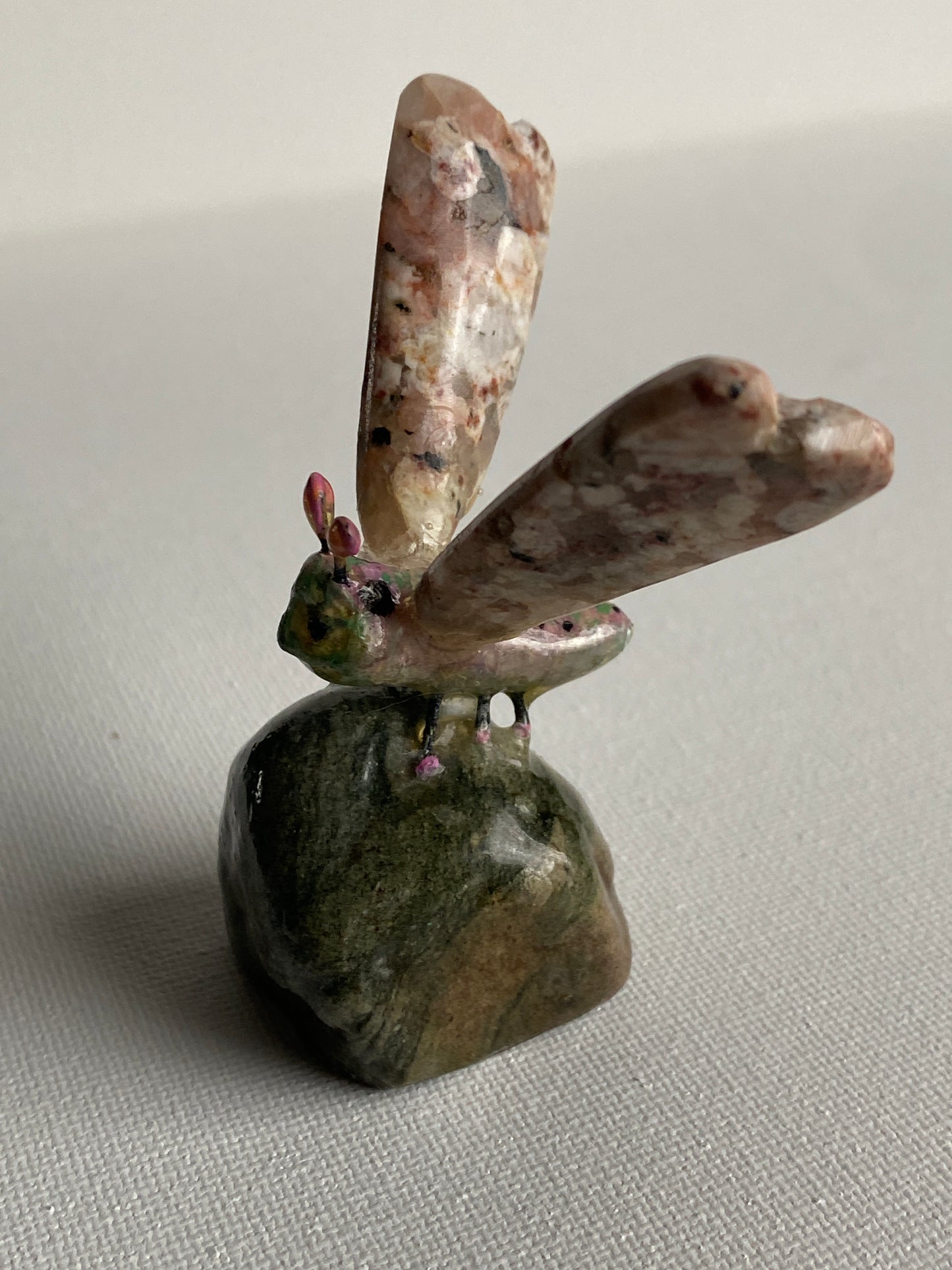 Stone fly