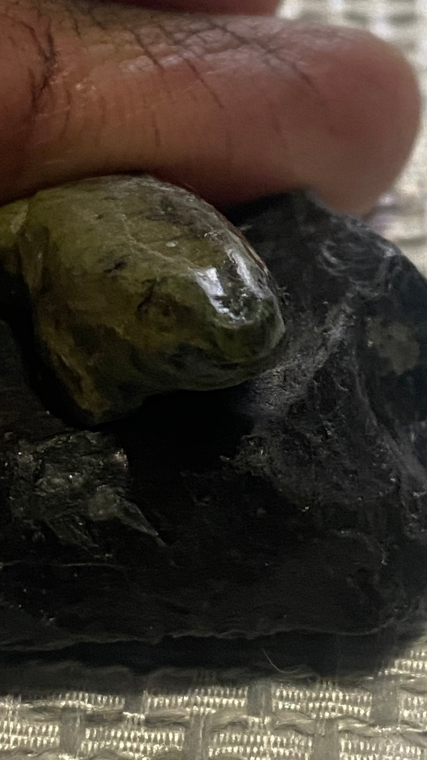 Hand carved frog